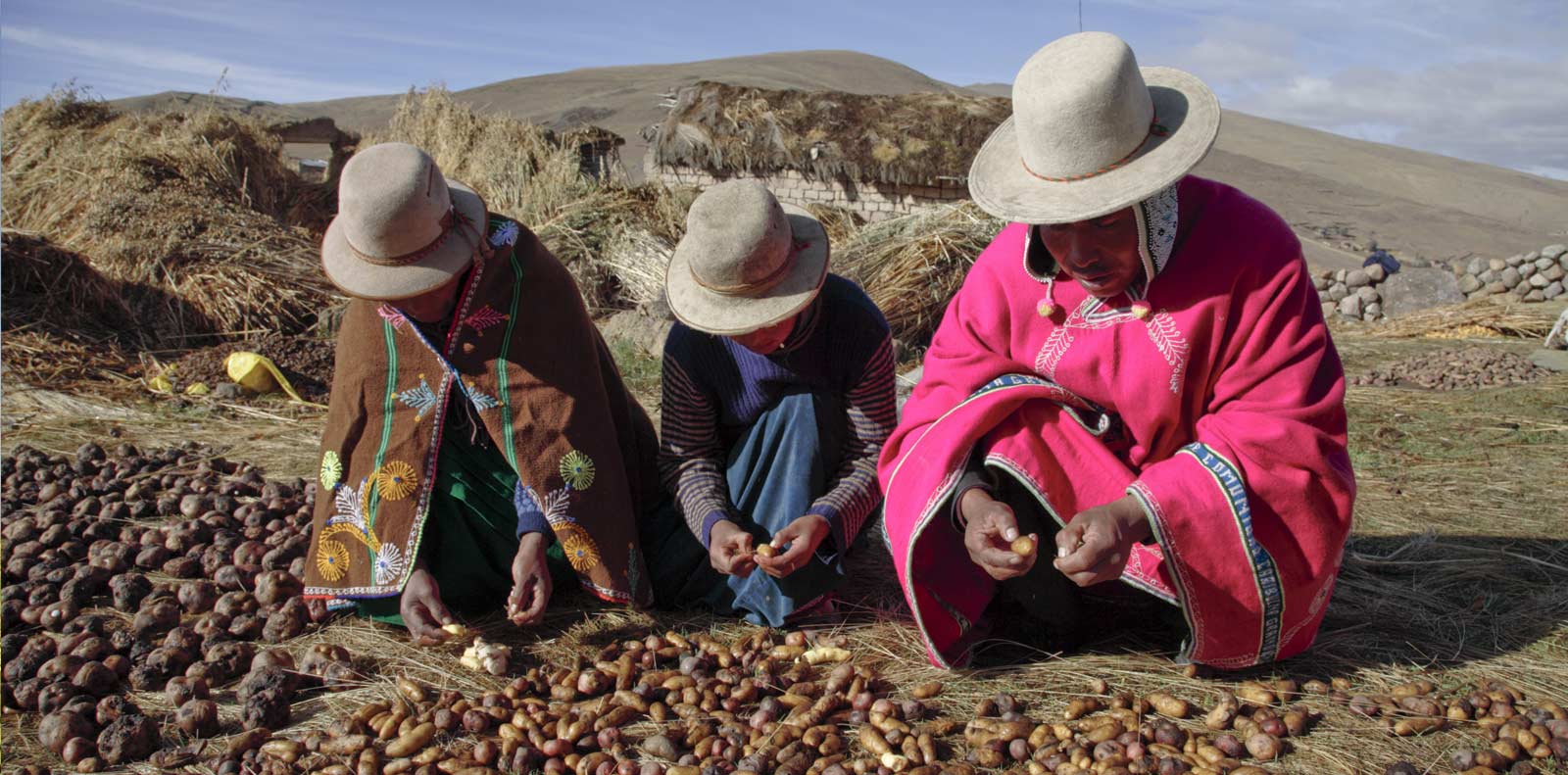 Recommendations for decision-makers