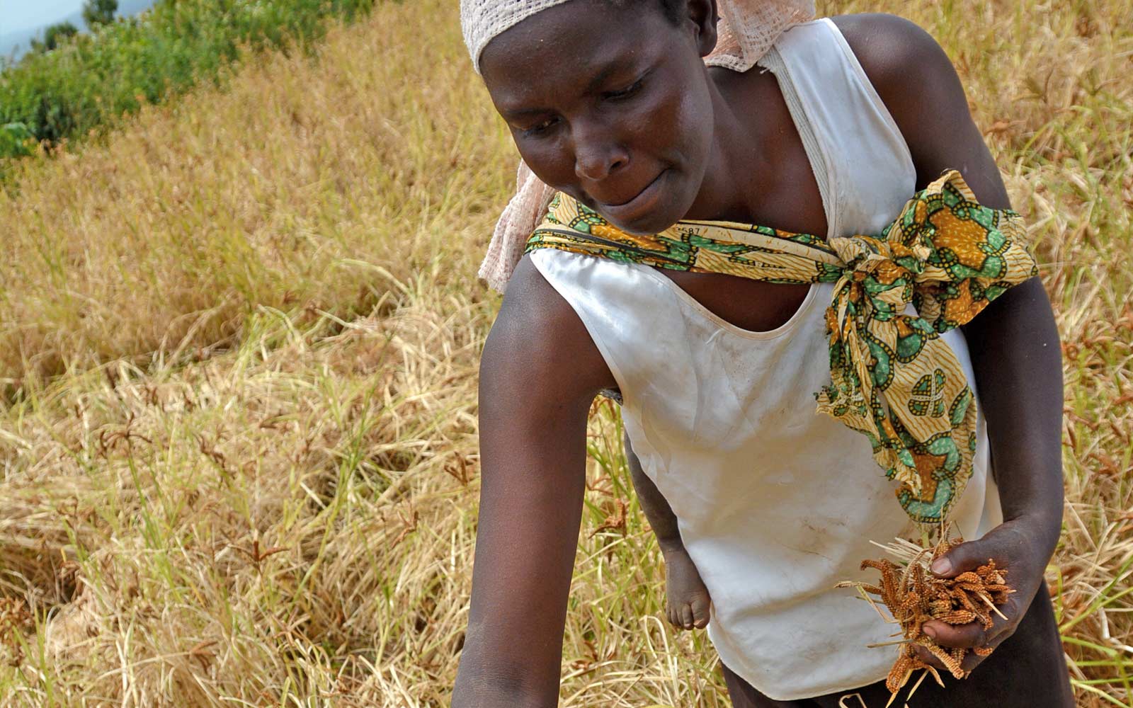 Recommendations for decision-makers