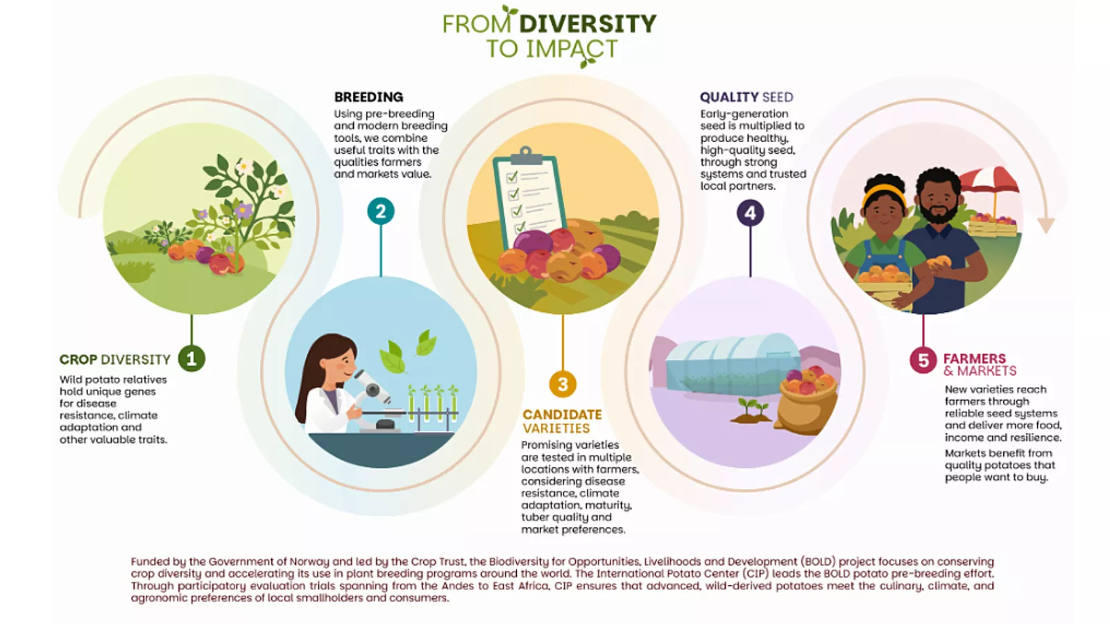 From Wild Potatoes to Resilient Varieties: Crop Trust and International Potato Centre Expand Potato Work in East Africa