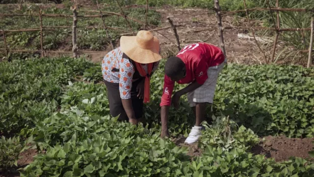 Felistus and Gerald assess their harvest. Photo by C. De Bode/CGIAR