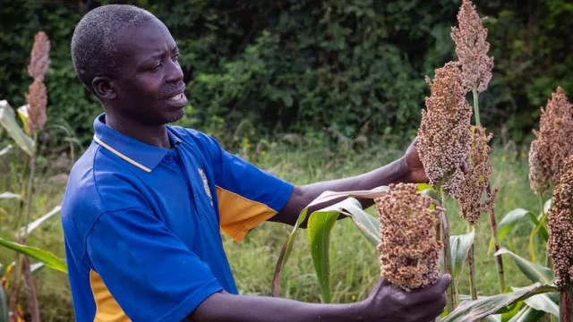 Farmer John Omondi and his family lost an entire cropping season to drought in 2016. Photo by C. De Bode/CGIAR.
