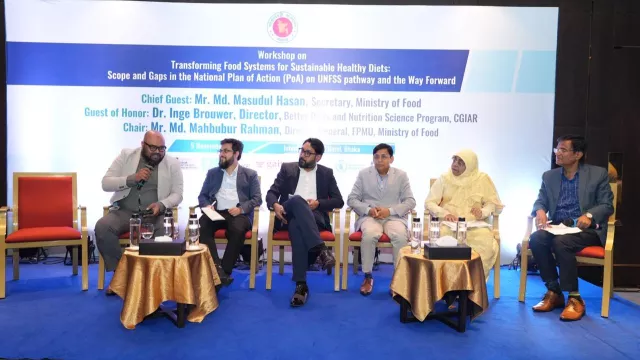 Panel discussion during national workshop in Dhaka, November 2025