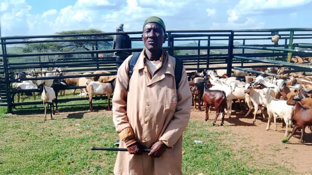 Mengeno Lenawasae, Chair Ol Donyiro Livestock Market Association (LMA). 