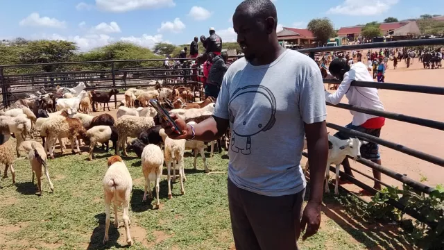 A KAZNET contributor from Isiolo County, collecting rangelands data