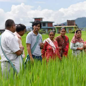 farmers in field