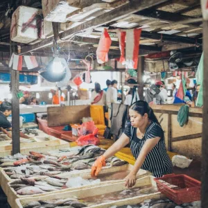 fish market