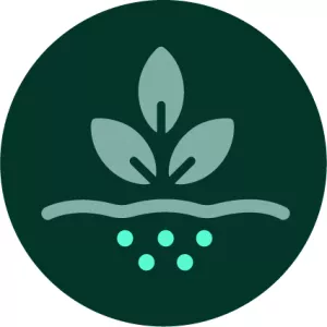 Environment health & biodiversity