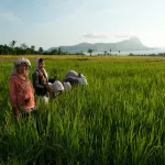 Southeast Asia and the Pacific