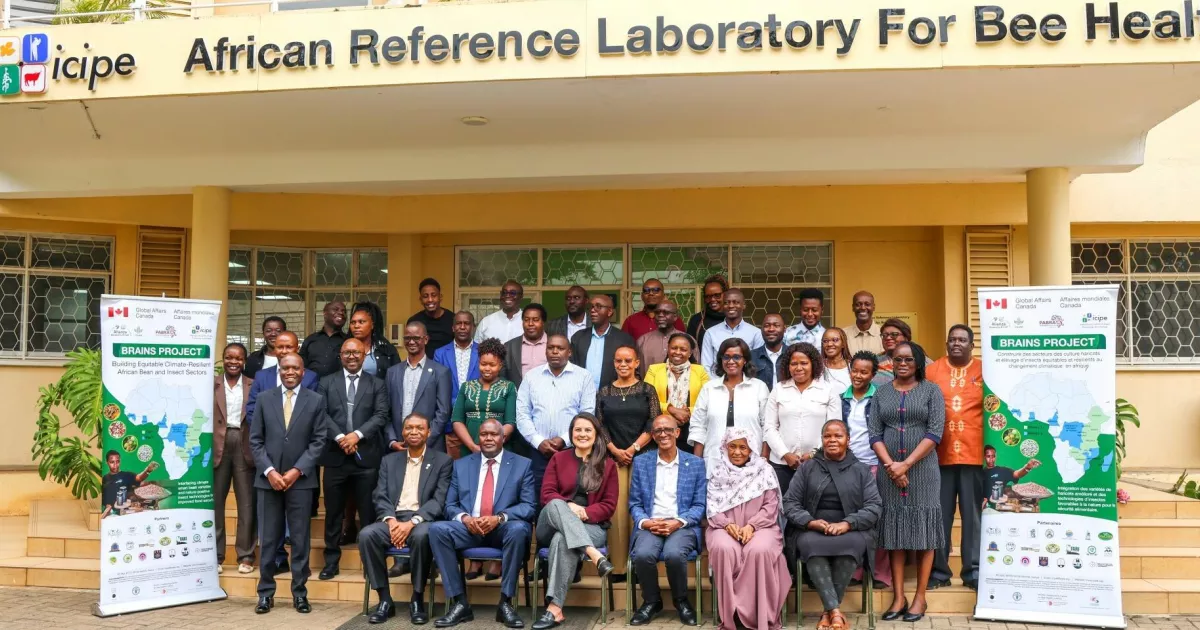 How partnerships are scaling agricultural innovation across Africa
