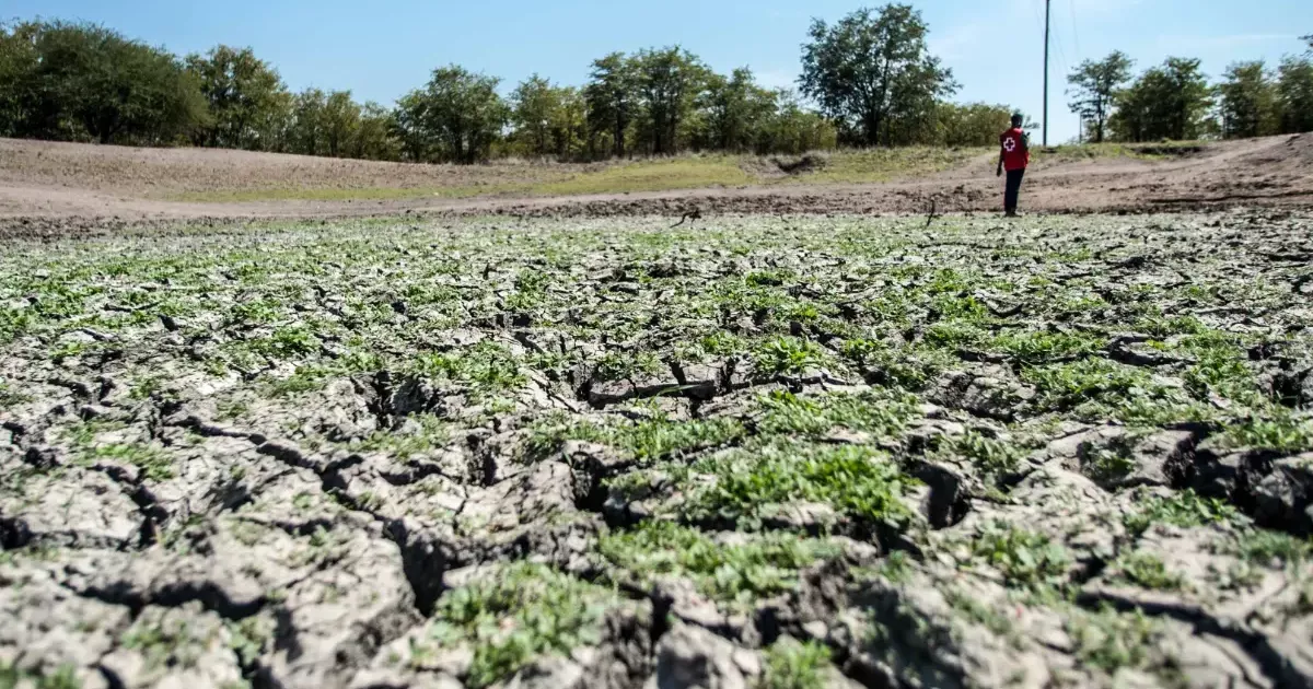 The impacts of climate change on social cohesion and stability in ...