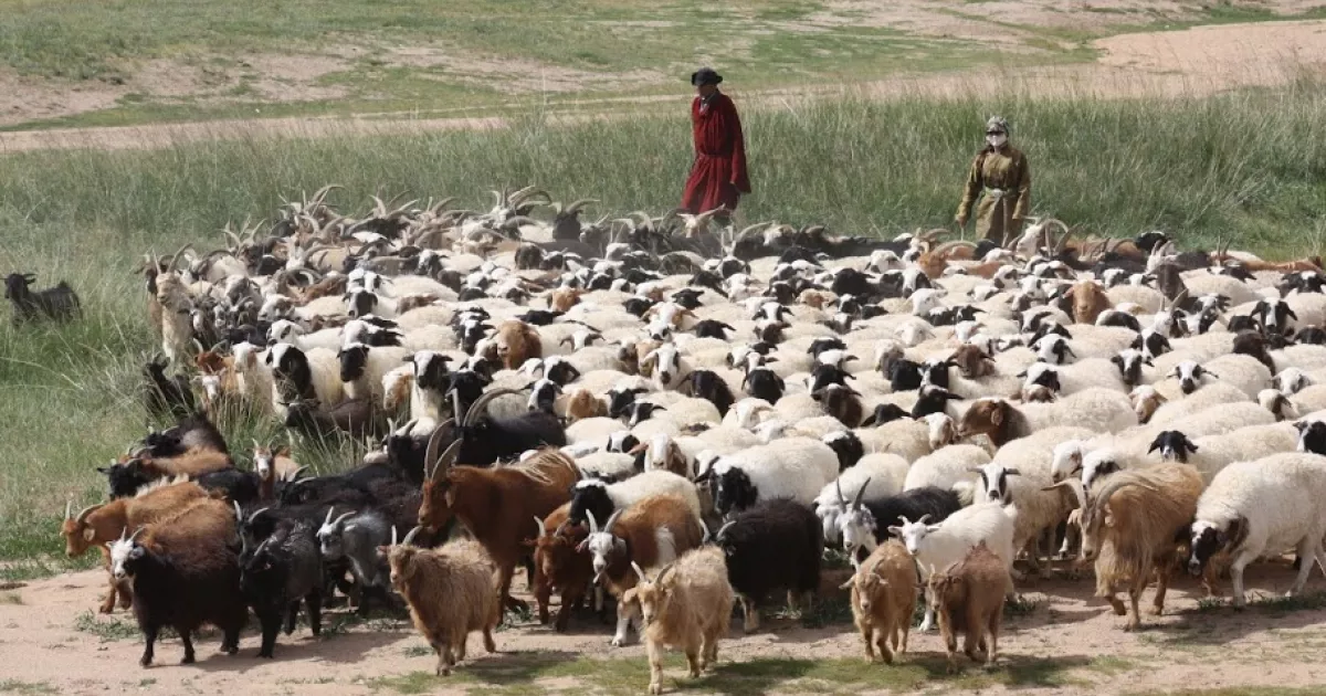 International Rangelands Congress 2025: Advancing Private Sector ...