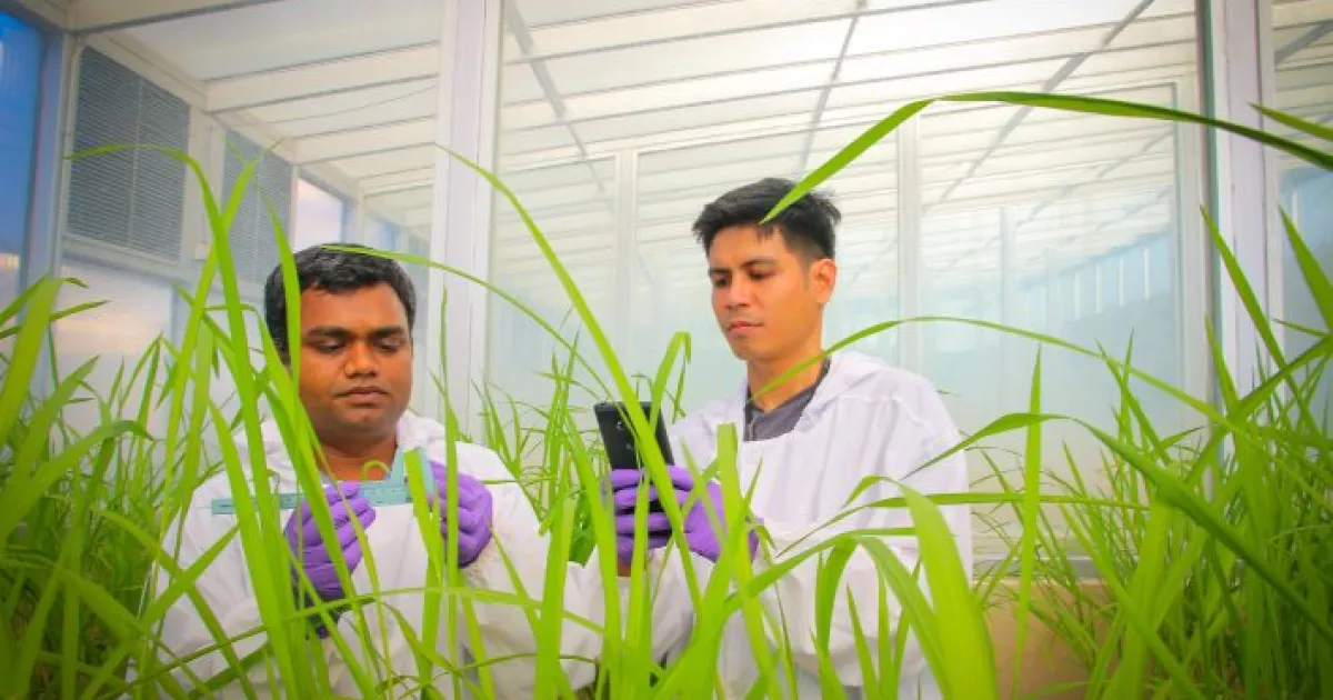 Transforming agricultural research and development systems to meet 21st ...