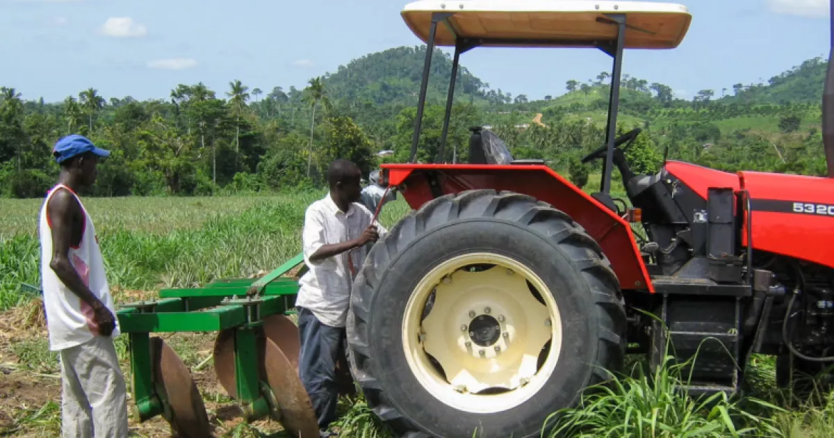 Making a Difference: How farmers in Ghana benefit from the Agricultural ...