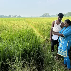 Man and woman standing in field; woman holds up smartphone to shoot picture