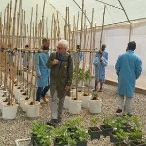 Teams from the Gates Foundation and CGIAR Breeding for Tomorrow visiting the Root, Tuber and Banana - East Africa Germplasm Exchange Lab (RTB-EAGEL) in Muguga, Kenya.