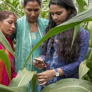 Investment Prospectus 2022–2024 hero image