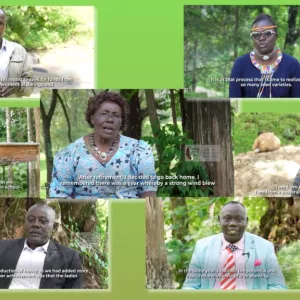 voices of change how indigenous story telling cover