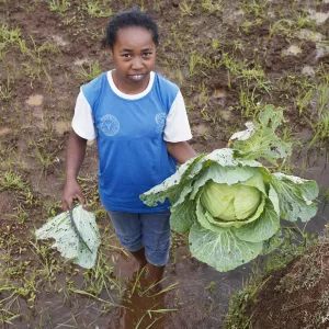 Young farmer holding a cabbage