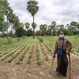 Farmer, wearing face mask, stands using crutch and cane in front of agricultural field