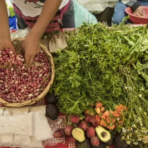 Local food market