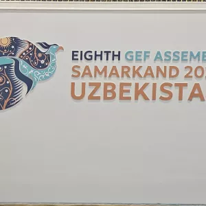 The 8th GEF Assembly