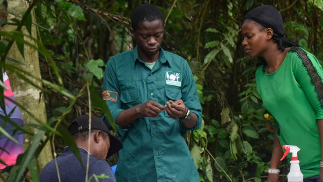Emerald Forest Reserve designated global Key Biodiversity Area (KBA) following IITA Forest Center–led scientific assessments