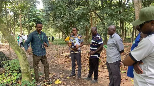 Students, researchers, and conservationists in different training sessions during the guided tour at the Tree Heritage Park.