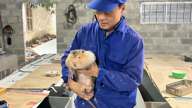 man handles wildlife in Thai Nguyen Vietnam