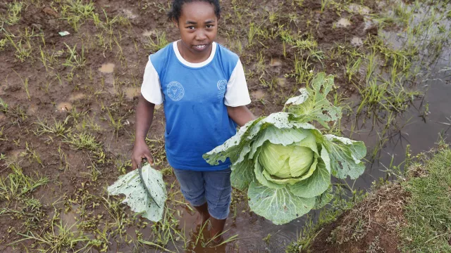 Young farmer holding a cabbage