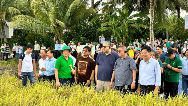 DA delegation visits Vietnam to enhance Philippine rice production image
