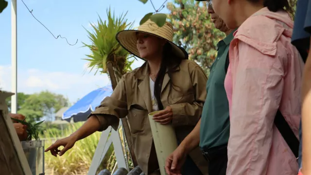 scaling-green-manure