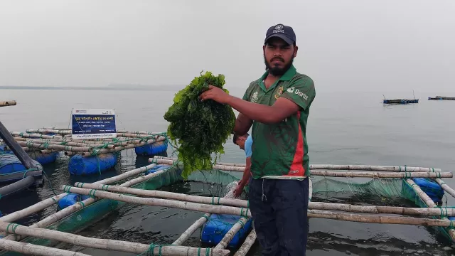 Testing Integrated Aquaculture in Coastal Bangladesh 