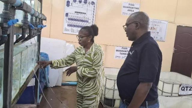 Aquaculture Scientist at WorldFish, Dr Mary Lundeba, examines water flow equipment at NRDC All-Weather Wet Laboratory in Lusaka, Zambia.