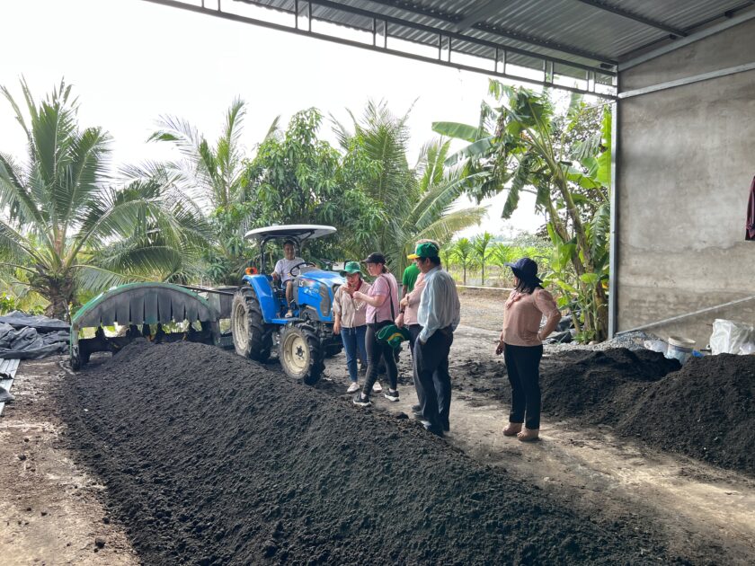 International collaboration drives Vietnam’s low-emission rice program ...